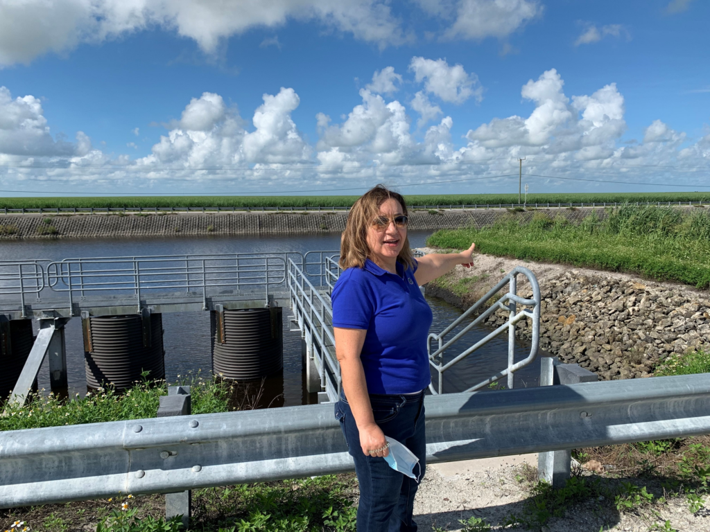 UF/IFAS Everglades Research and Education Center to be led by Daroub