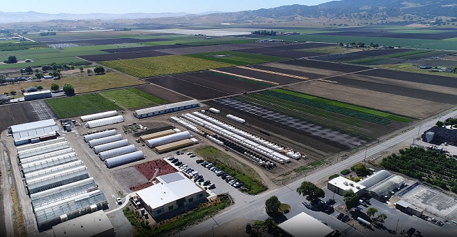 Enza Zaden celebrates breeding success stories