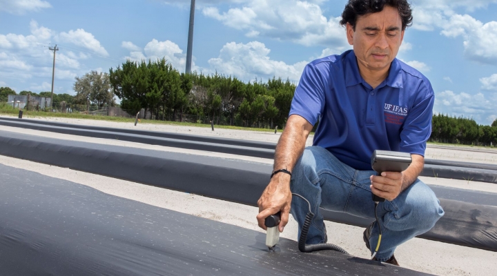 UF/IFAS engineer earns national honor for work in micro-irrigation