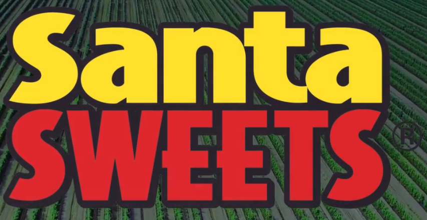 Ag-Mart Produce ceases Florida tomato production