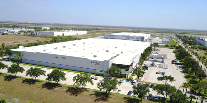 Irradiation an option for vegetable processing, food safety