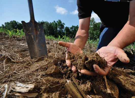 Moving toward organic production, certification