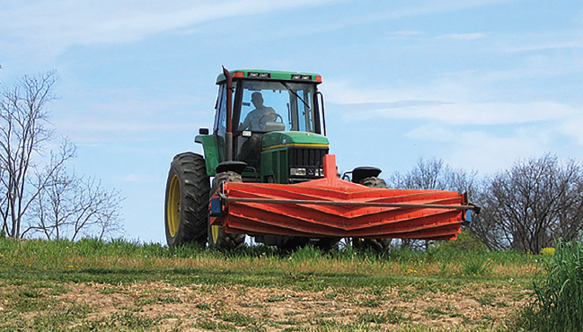 How cover crops can help your vegetable crops next season