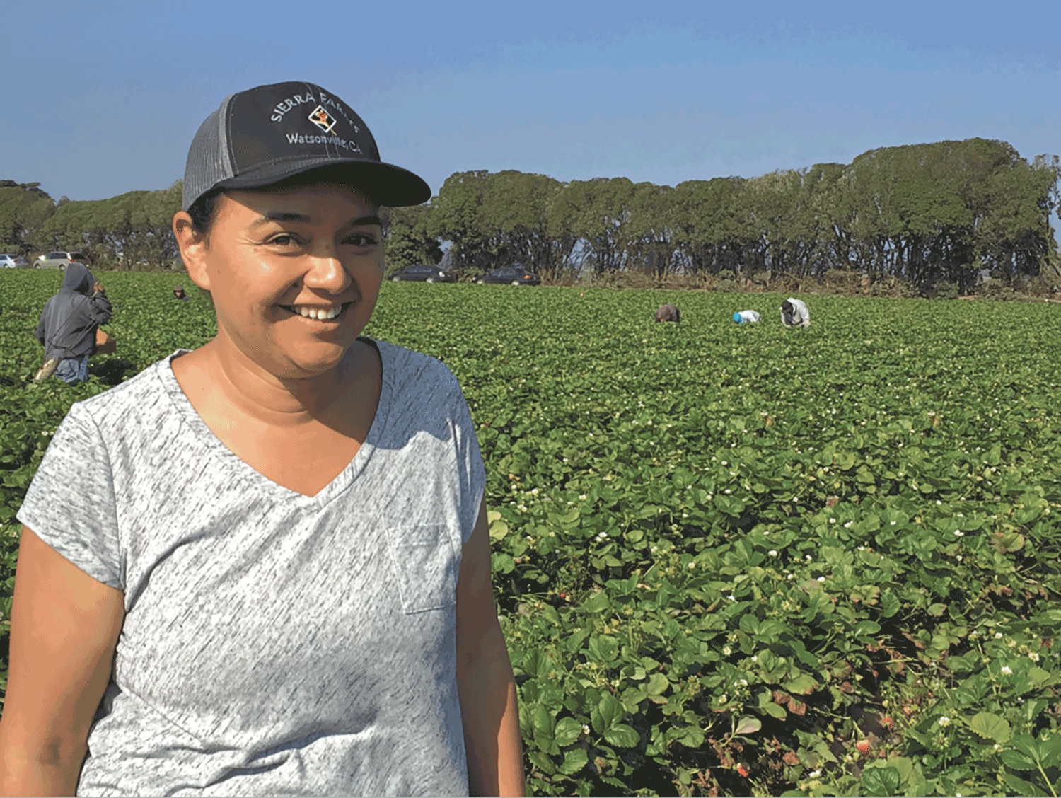 Weather, varieties, labor keep Sundance Farms alert