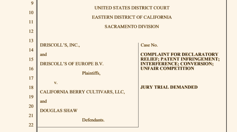 Driscoll’s alleges ‘patent infringement’ by California Berry Cultivars