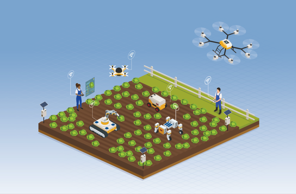 Planting to harvest, advancements to dot vegetable farms