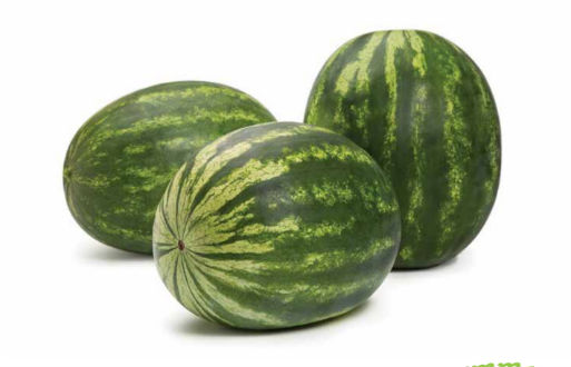 Syngenta supports regional watermelon queen program