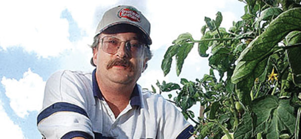 Greenhouse tomatoes can pay dividends