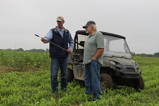 Help for Michigan growers for soil testing, nutrient use at Lake Erie