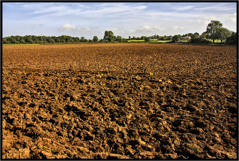 CSU climate change solution acquired by Boston-based ag tech company