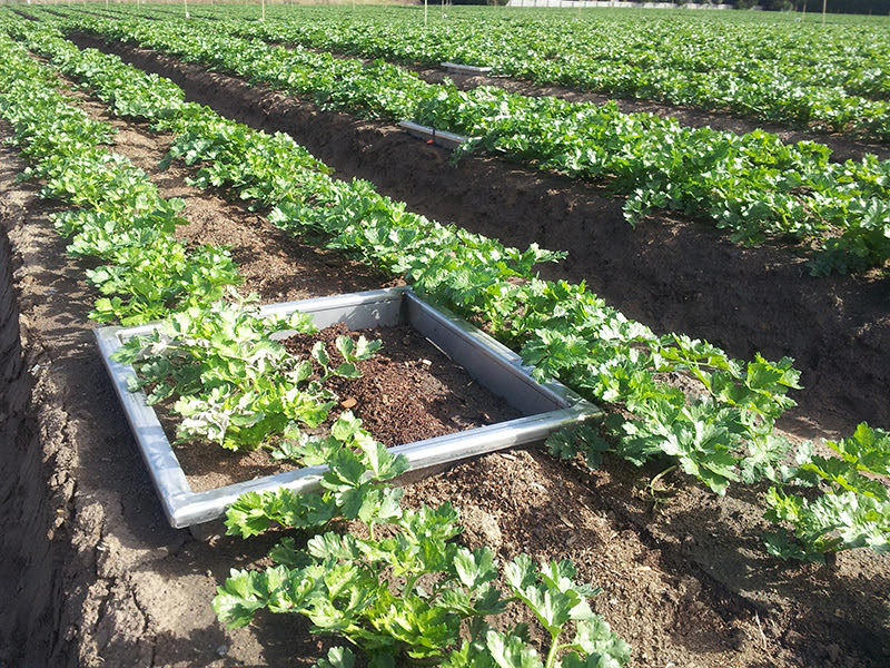 Differences in nitrogen loss intensity confirm the need for change
