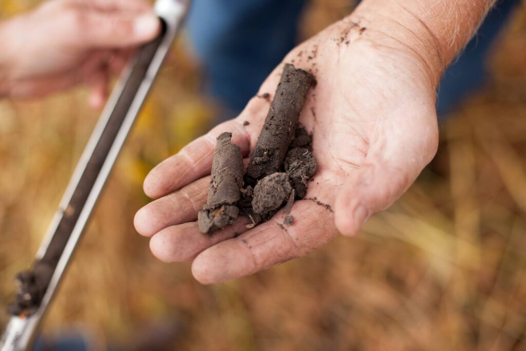 Fall 2021 soil testing considerations for the 2022 growing season