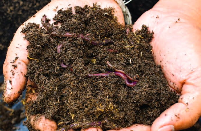 Organic soil research benefits from grant funding
