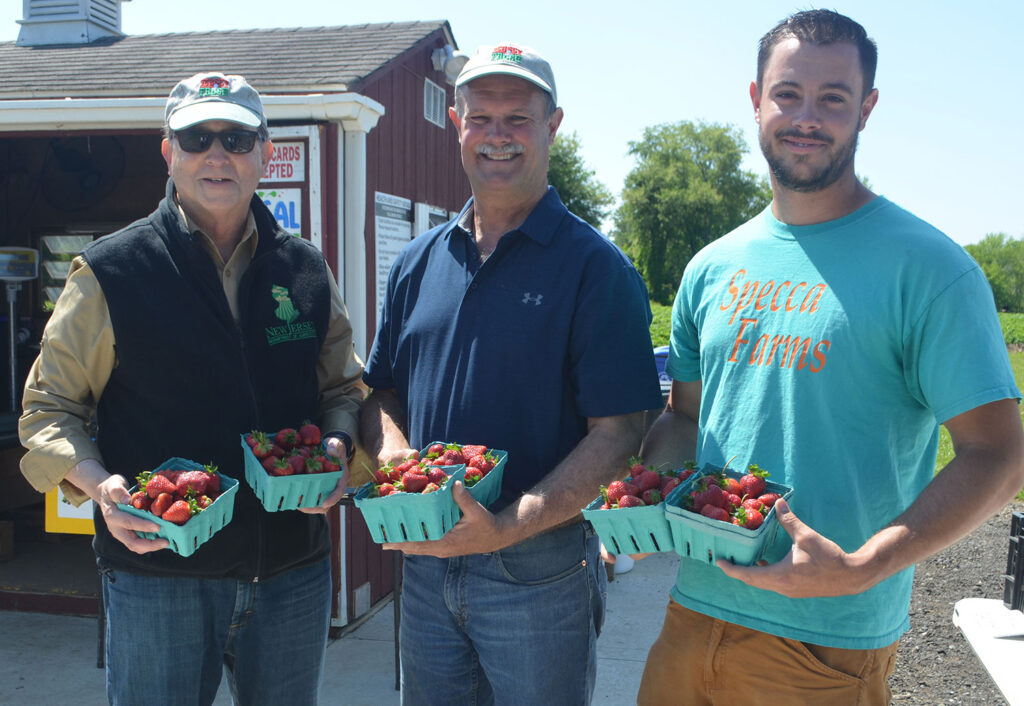 New Jersey ag secretary visits Specca Farms strawberry operation