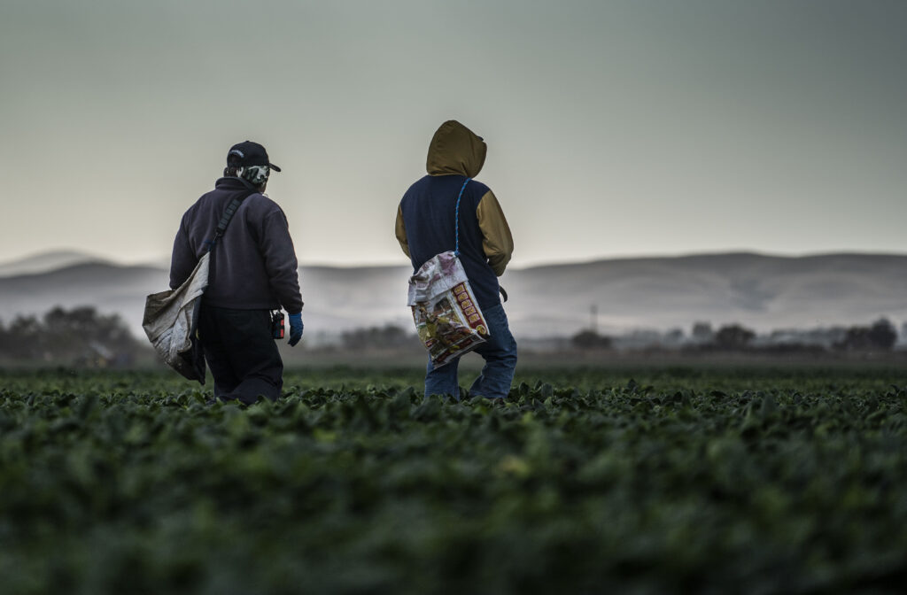 State guidance for protecting ag workers finalized in Colorado