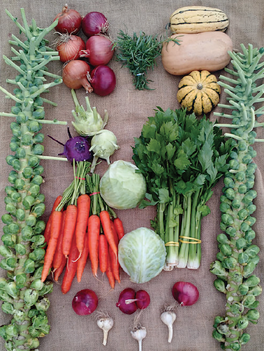 Ohio State offers sessions to improve farm product marketing