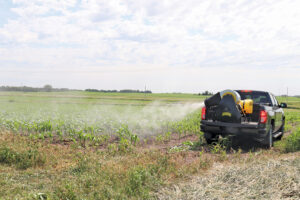 The A1 Mist Sprayer’s URX-40-R18 is shown here spraying corn. Photo courtesy of A1 Mist Sprayer.