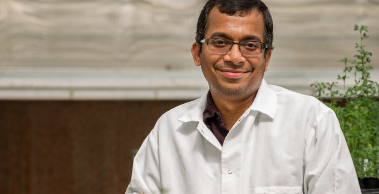 7 questions with plant pathologist Chaks Mattupalli