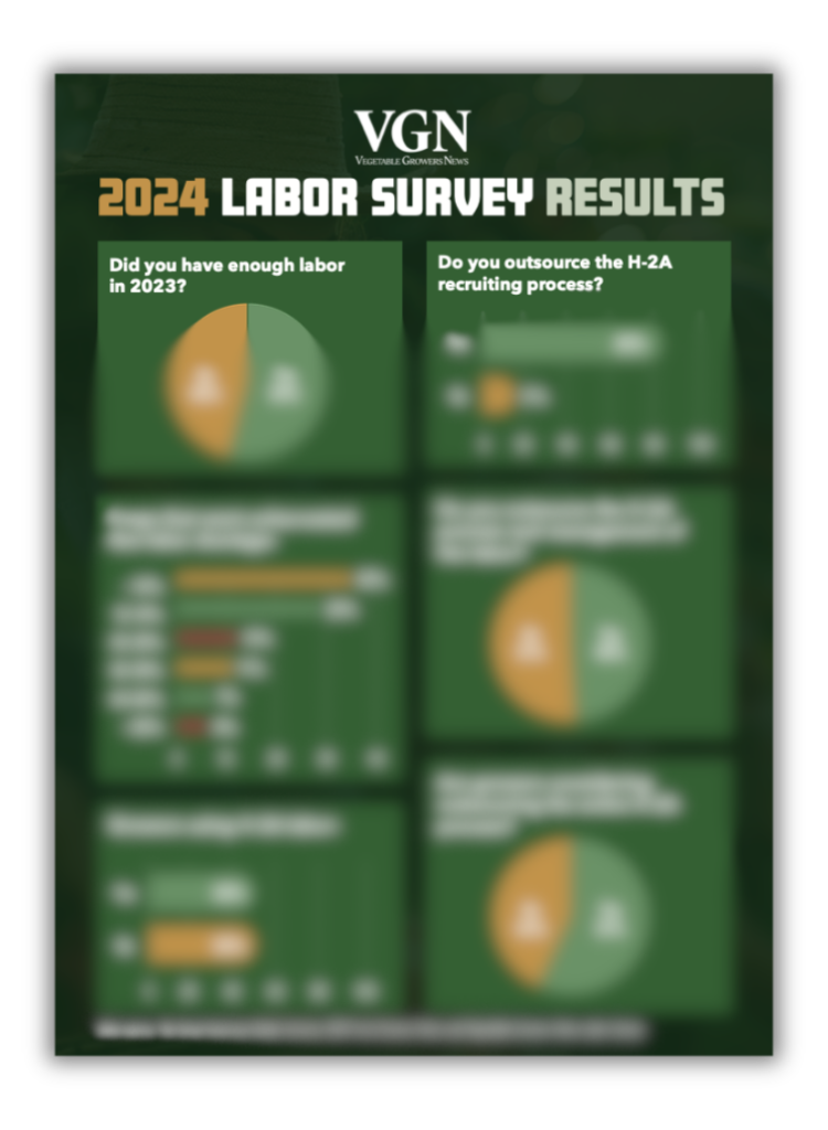 2024 VGN Labor Survey