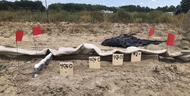 Steam, chemicals offer weed and pathogen control options