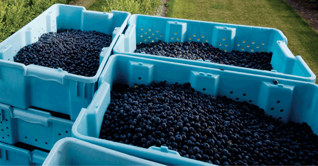 Strengthening Organic Systems helps growers, industry follow new organic rules