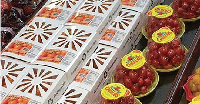 Small grower goes big in sustainable packaging effort