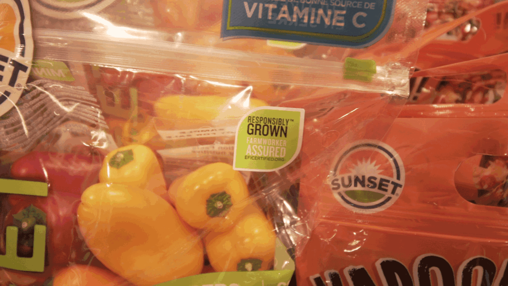 Mastronardi completes fifth EFI certification