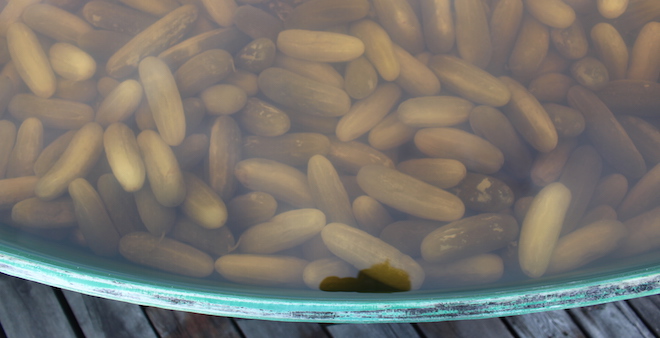 ￼￼￼￼Swanson Pickle’s next generation stepping up with improvements