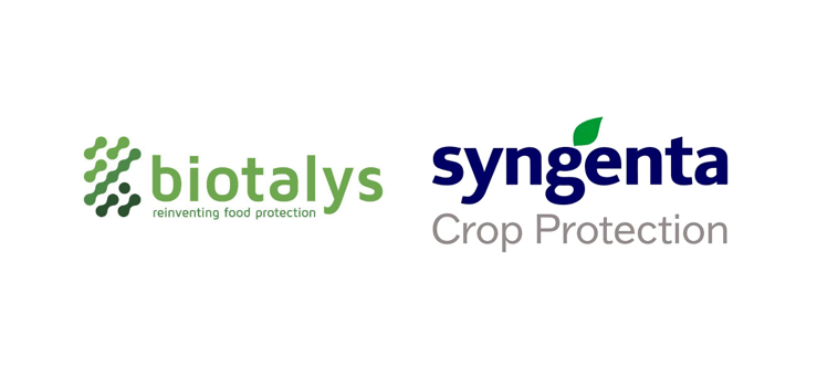 Syngenta, Biotalys partner on sustainable farming, pests