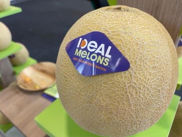 Syngenta melons with harvest indicator earn Fruit Logistica award