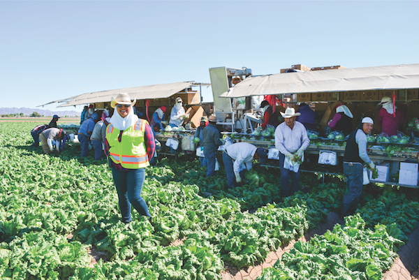 New bid for ag labor solution receives support