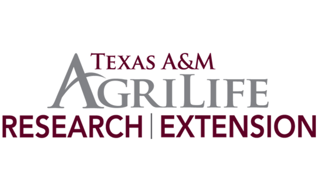 New Texas A&M AgriLife robotic greenhouse set for construction