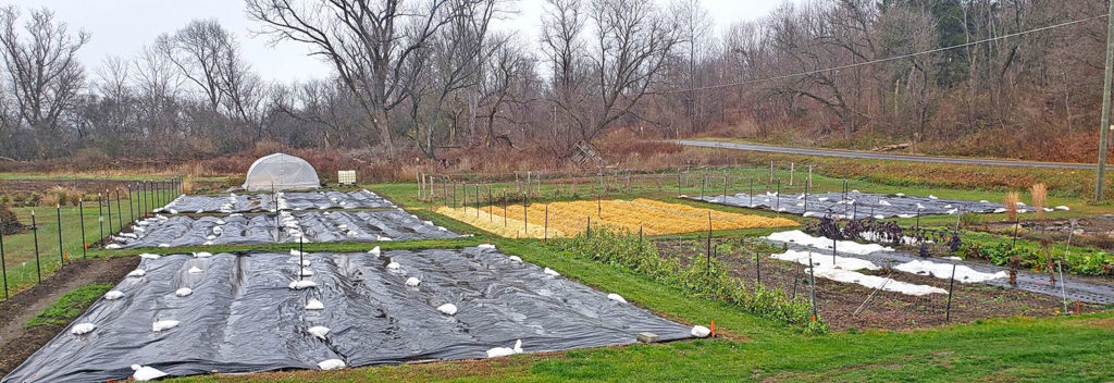 New guide helps Northeast farms learn tarping