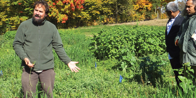 Cover crop management helps new growers gain an edge