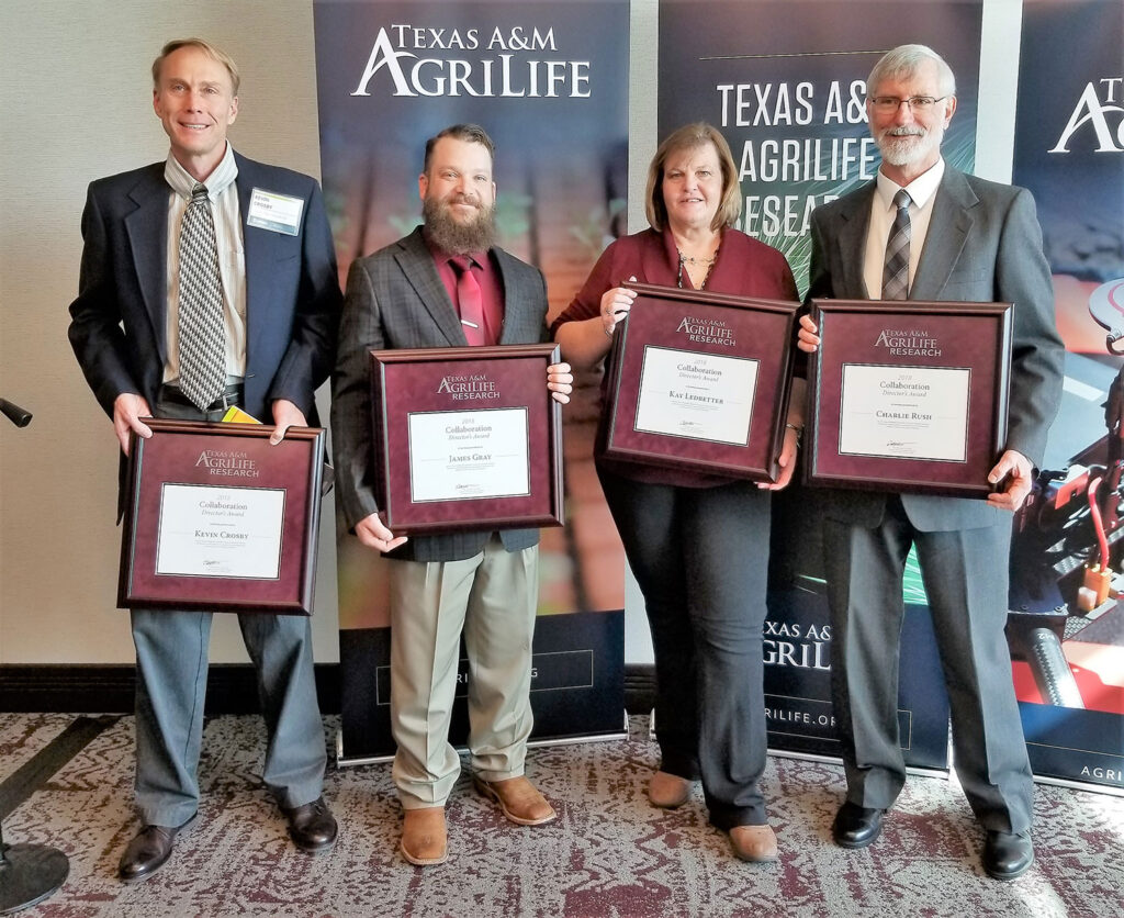 Texas Panhandle Vegetable Production Research earns honors