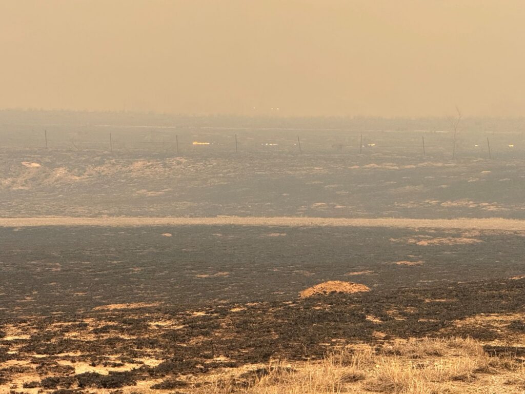 Wildfires threaten Texas panhandle growers