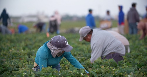 Organic Grower Summit to feature showing of ‘The Last Harvest’