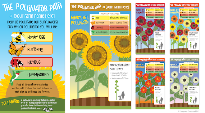Evergreen Creations unveils pollinator attraction for agritourism farms