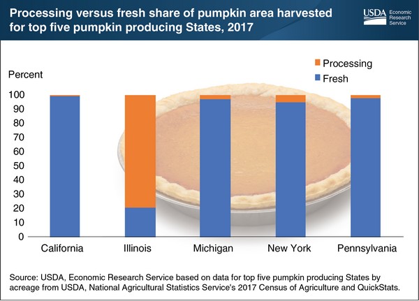 Illinois, home of two processing plants, leads US pumpkin production