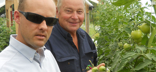 Growers considering tunnels must weigh pros and cons