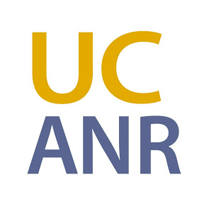 New video series to spark interest in vegetable production of the future