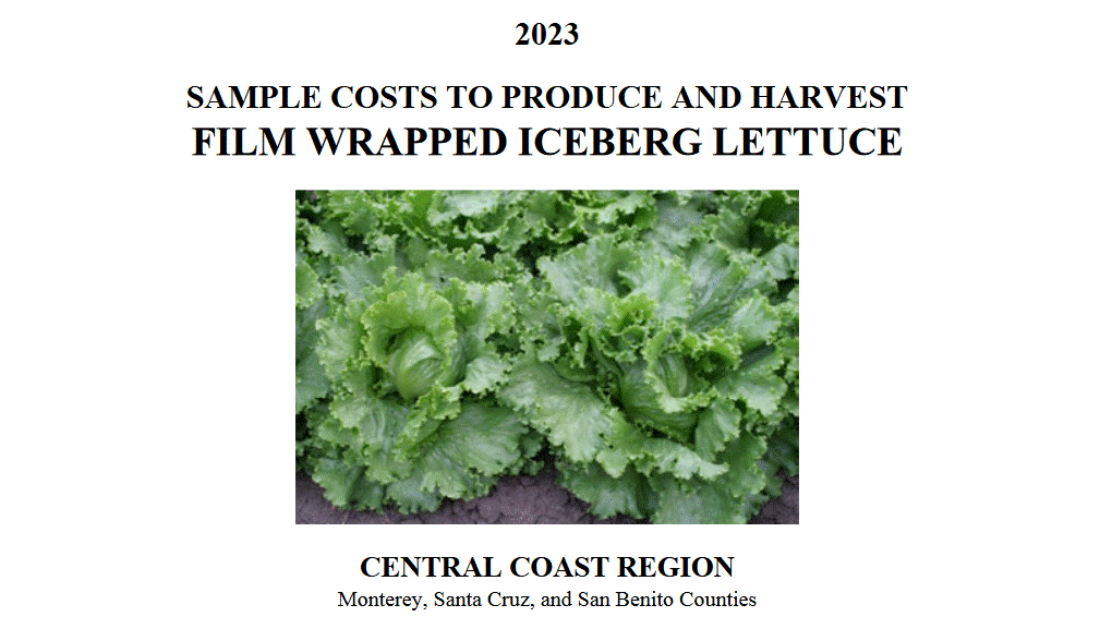 New UC studies estimate production costs for coastal lettuce, broccoli