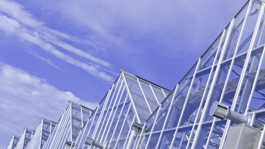 UC Davis alumnus Bill Werner named new greenhouse manager