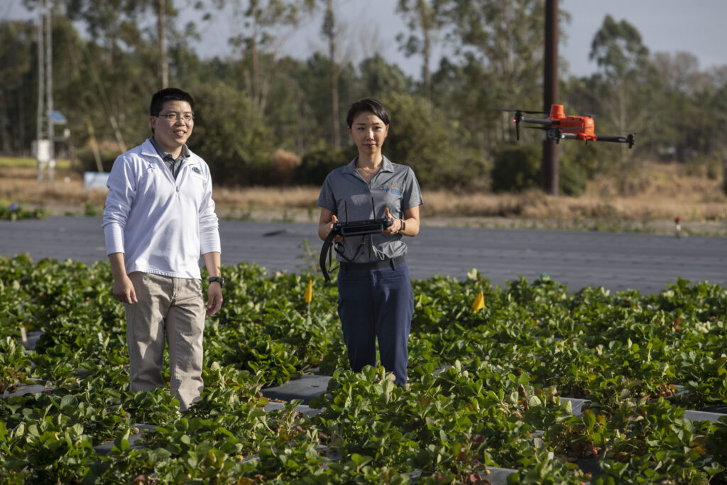 UF AI center to push boundaries of ag research