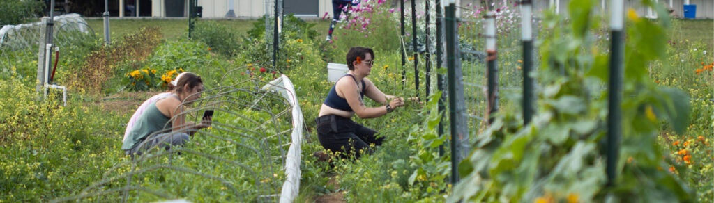 UF students learn growing skills in horticultural sciences teaching garden