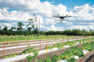 Drone flying over a field