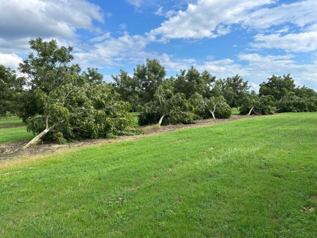 Georgia counties receive Hurricane Idalia disaster declarations