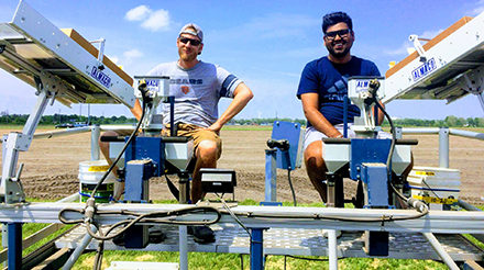 USDA ARS researchers look at sweet corn hybrids to increase yields