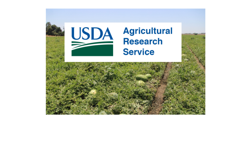 USDA research suggests diverse crop rotations offer stability