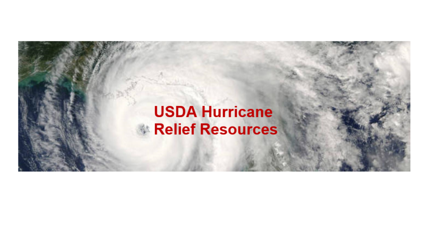 Disaster assistance for Hurricane Helene recovery offered by USDA
